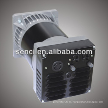 240v 3kw Alternador